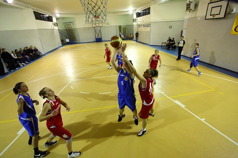 Basket 443102